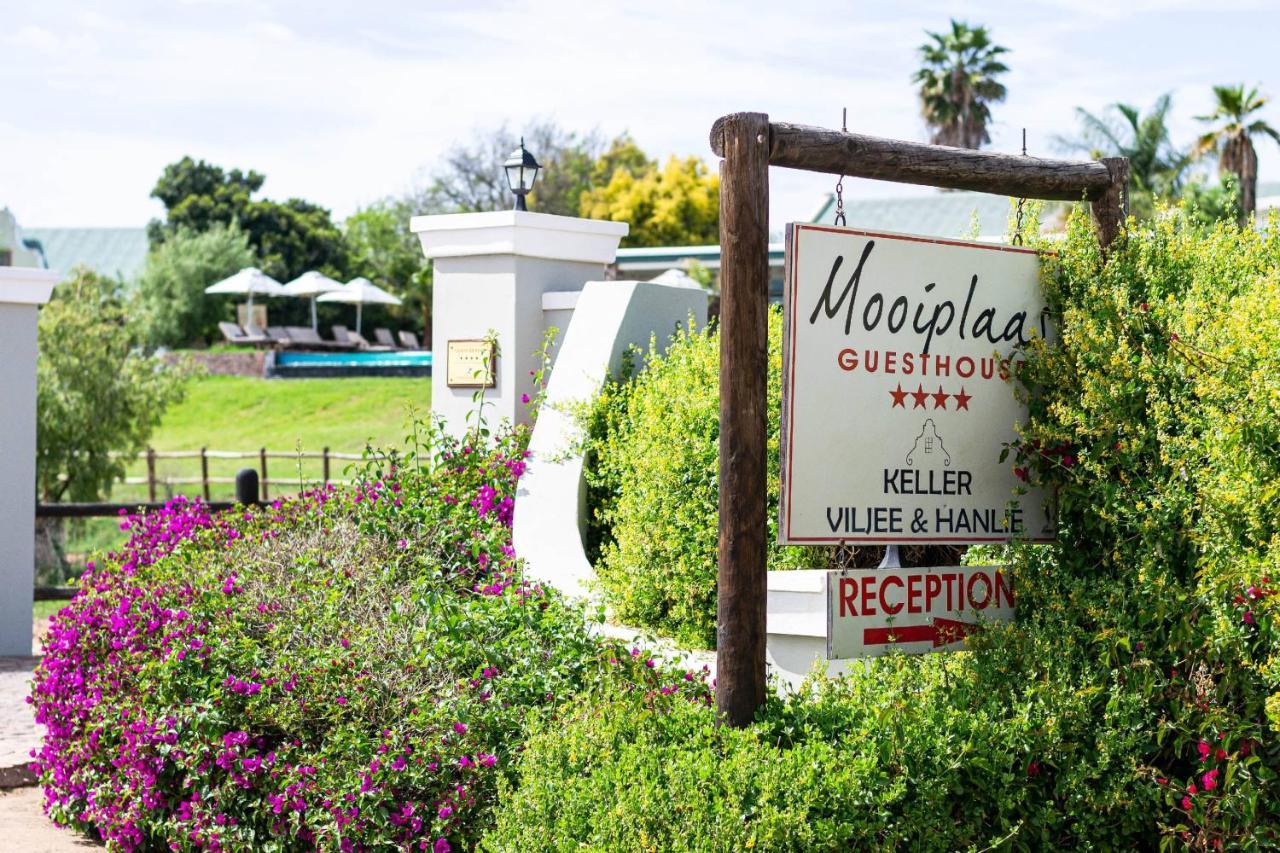 Mooiplaas Guesthouse Oudtshoorn Kültér fotó